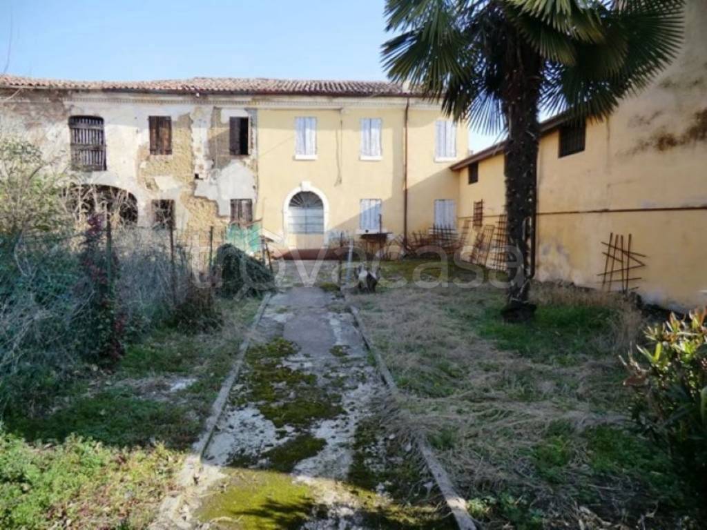 immagine annuncio 3 di 14