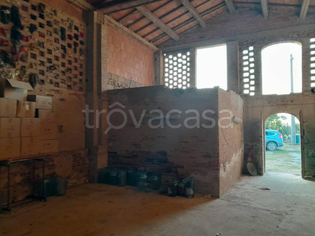 immagine annuncio 3 di 8