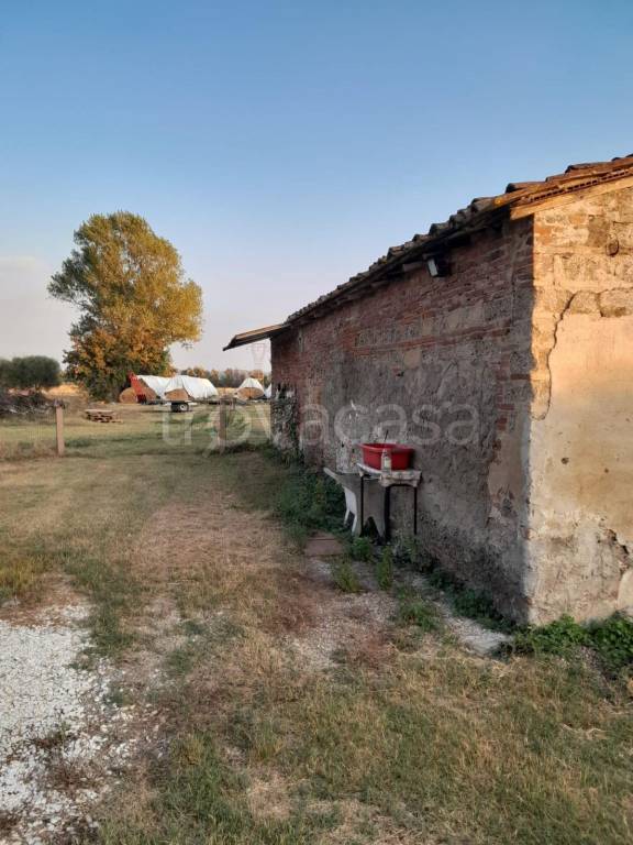 immagine annuncio 6 di 8