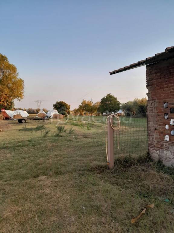 immagine annuncio 7 di 8