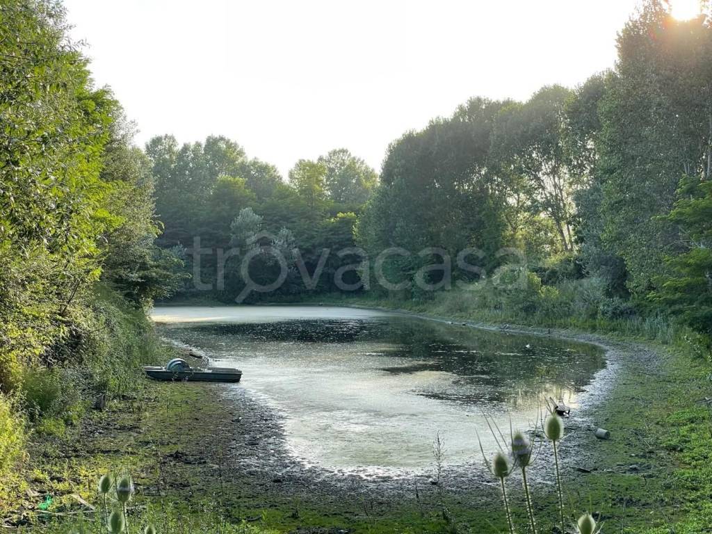 immagine annuncio 3 di 13