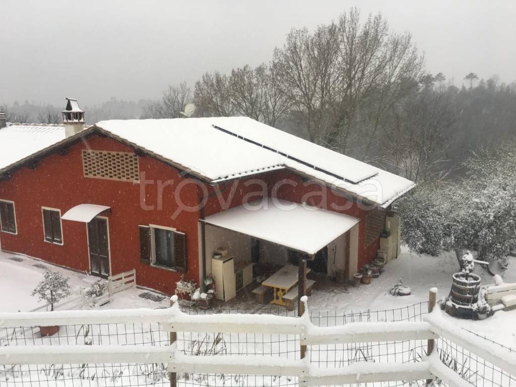 immagine annuncio 12 di 13