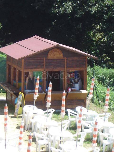 immagine annuncio 8 di 15