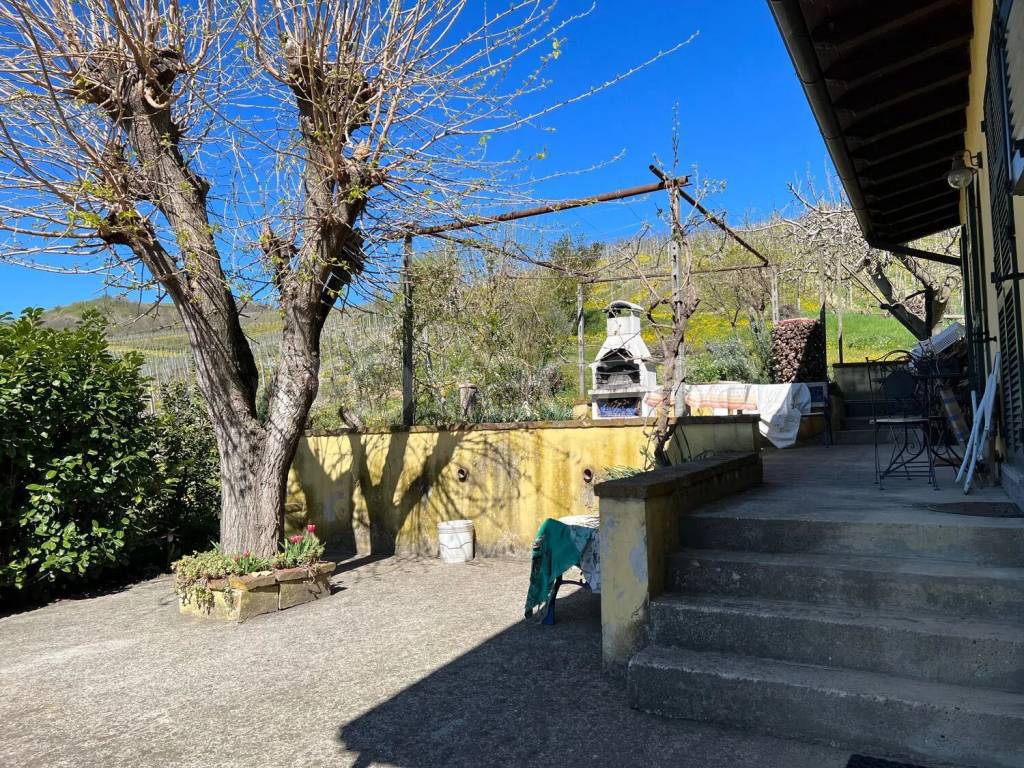 immagine annuncio 2 di 11