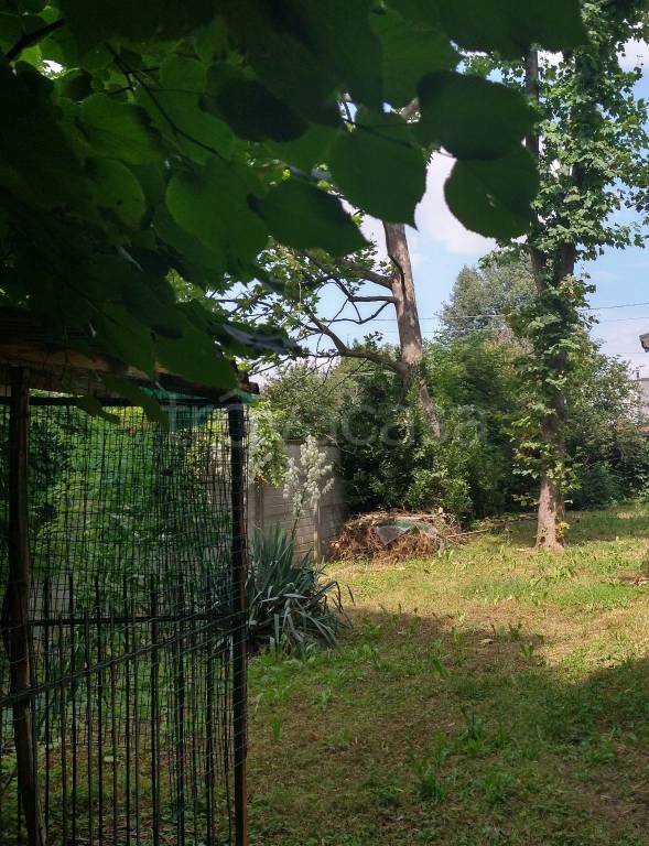 immagine annuncio 6 di 9