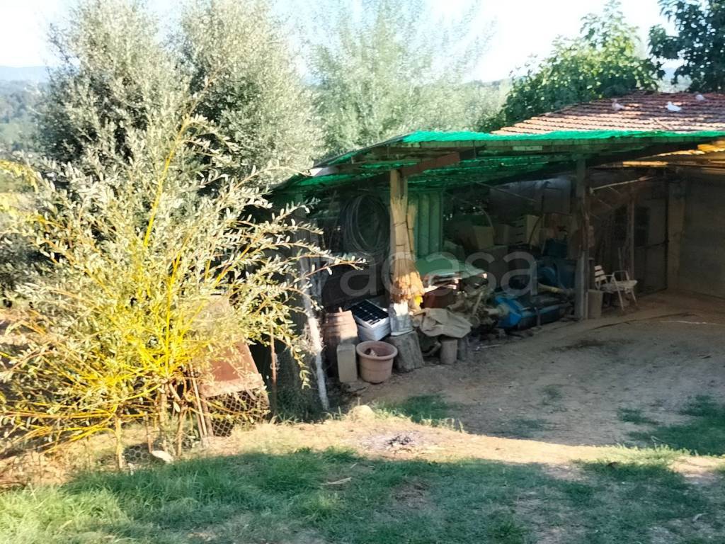 immagine annuncio 3 di 9