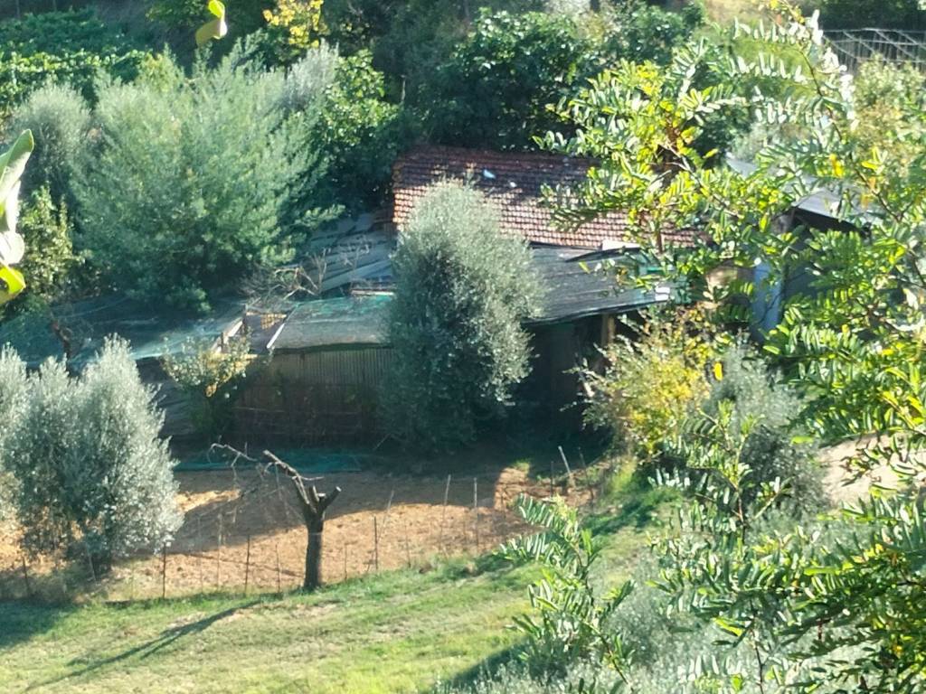 immagine annuncio 7 di 9