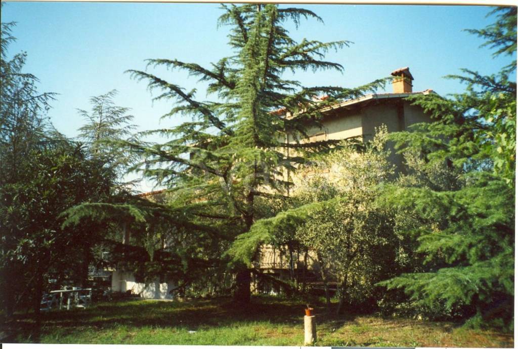 immagine annuncio 4 di 6