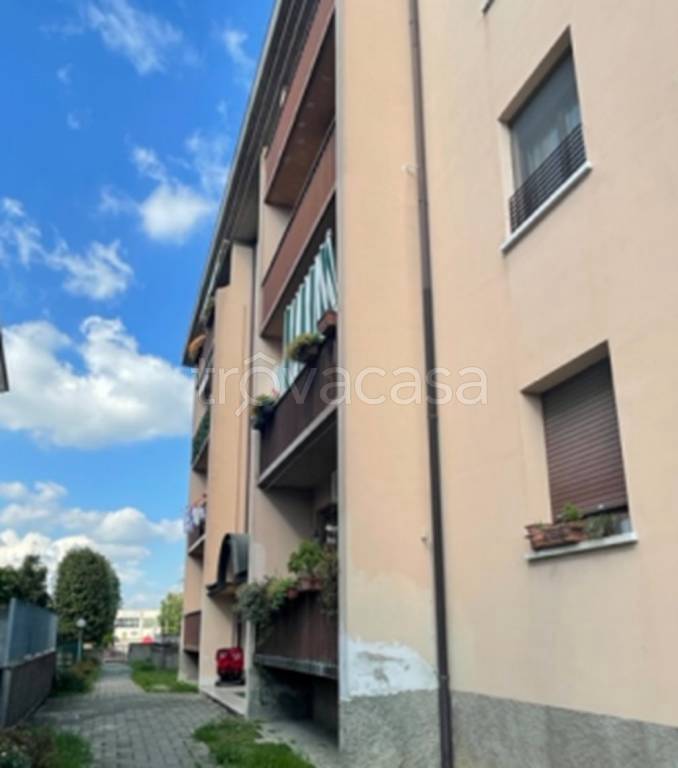 immagine annuncio 2 di 13