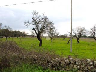 Terreno agricolo in vendita a carovigno contrada cento pezze