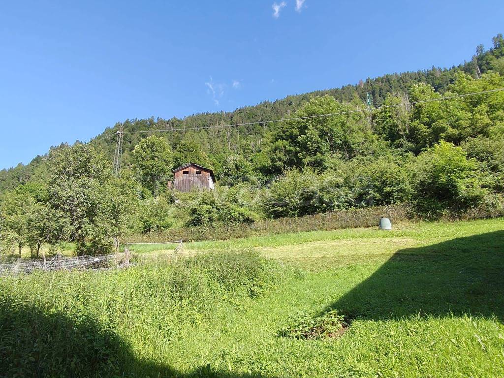 immagine annuncio 4 di 7