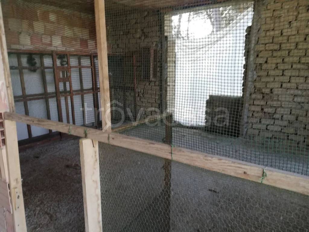 immagine annuncio 8 di 14