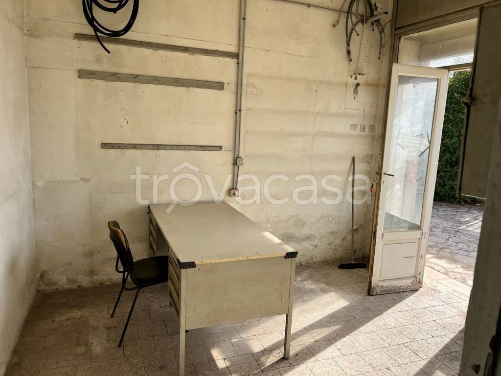 immagine annuncio 3 di 12