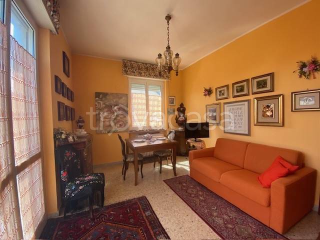 immagine annuncio 7 di 13