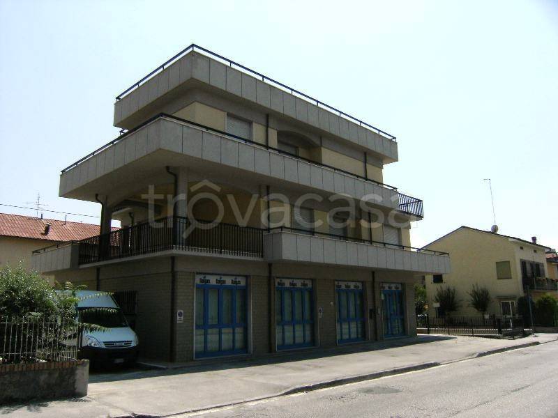 immagine annuncio 3 di 7