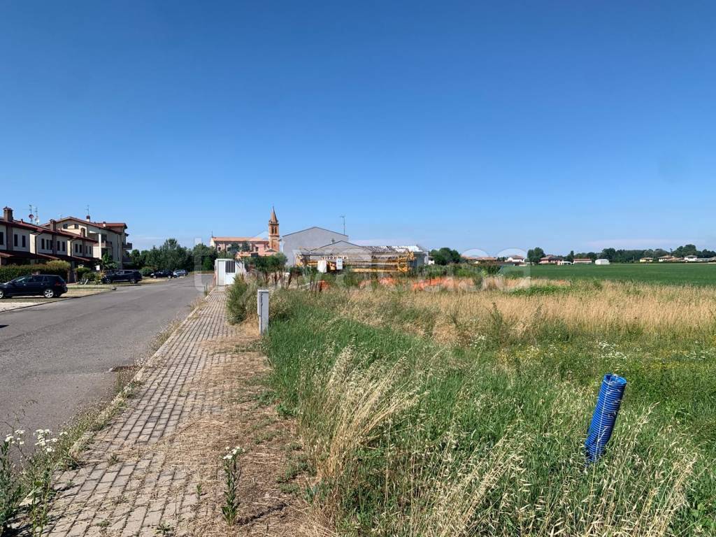 immagine annuncio 5 di 11