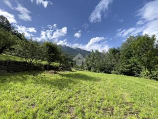 Terreno agricolo in vendita a mazzo di valtellina via selve