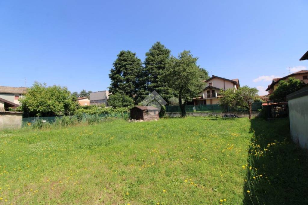 immagine annuncio 1 di 12