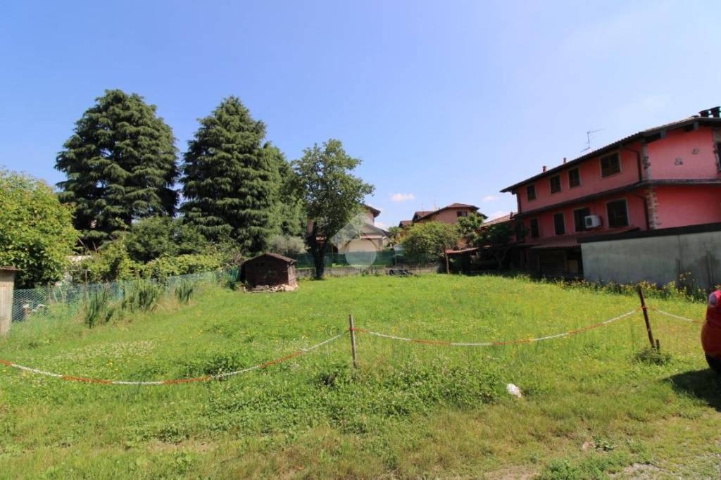 immagine annuncio 2 di 12