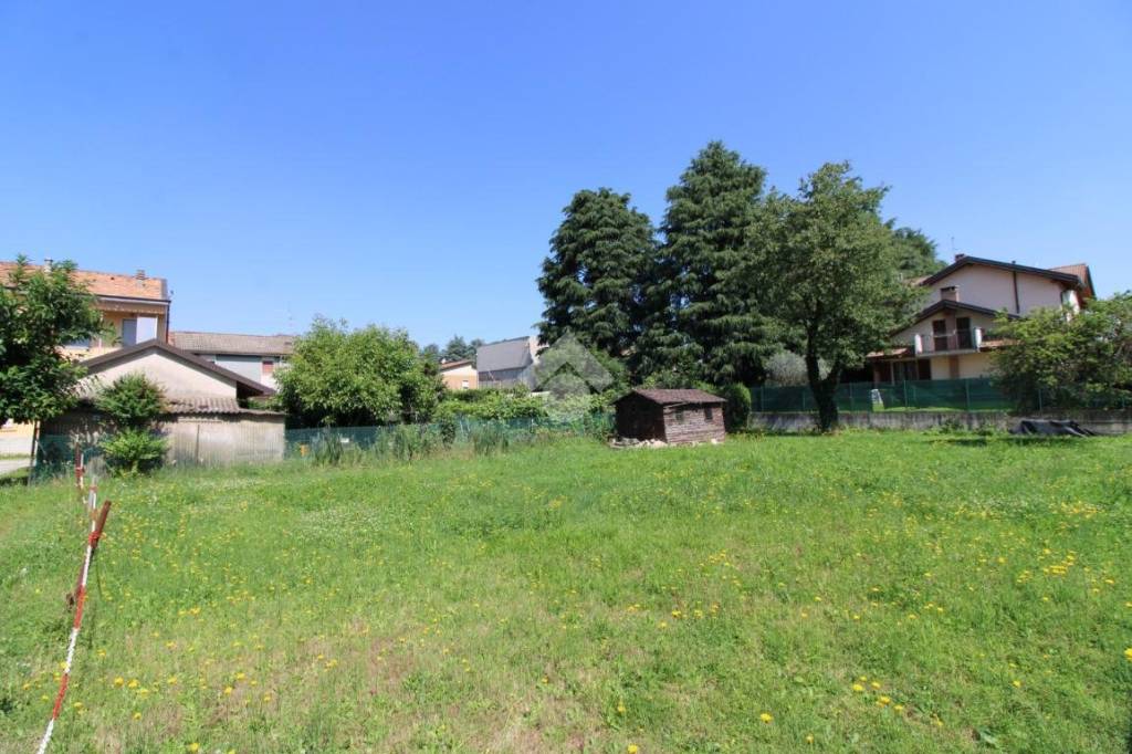 immagine annuncio 3 di 12