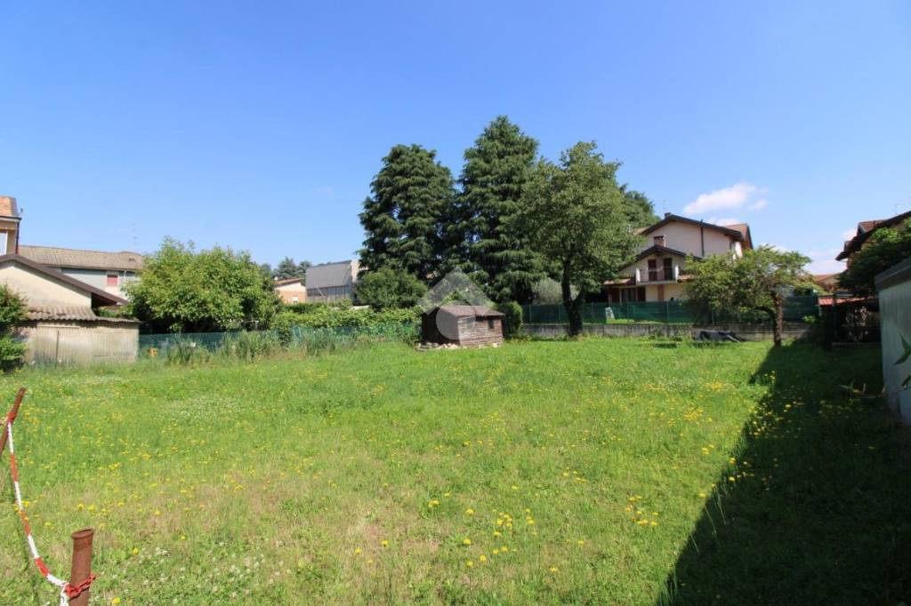 immagine annuncio 5 di 12