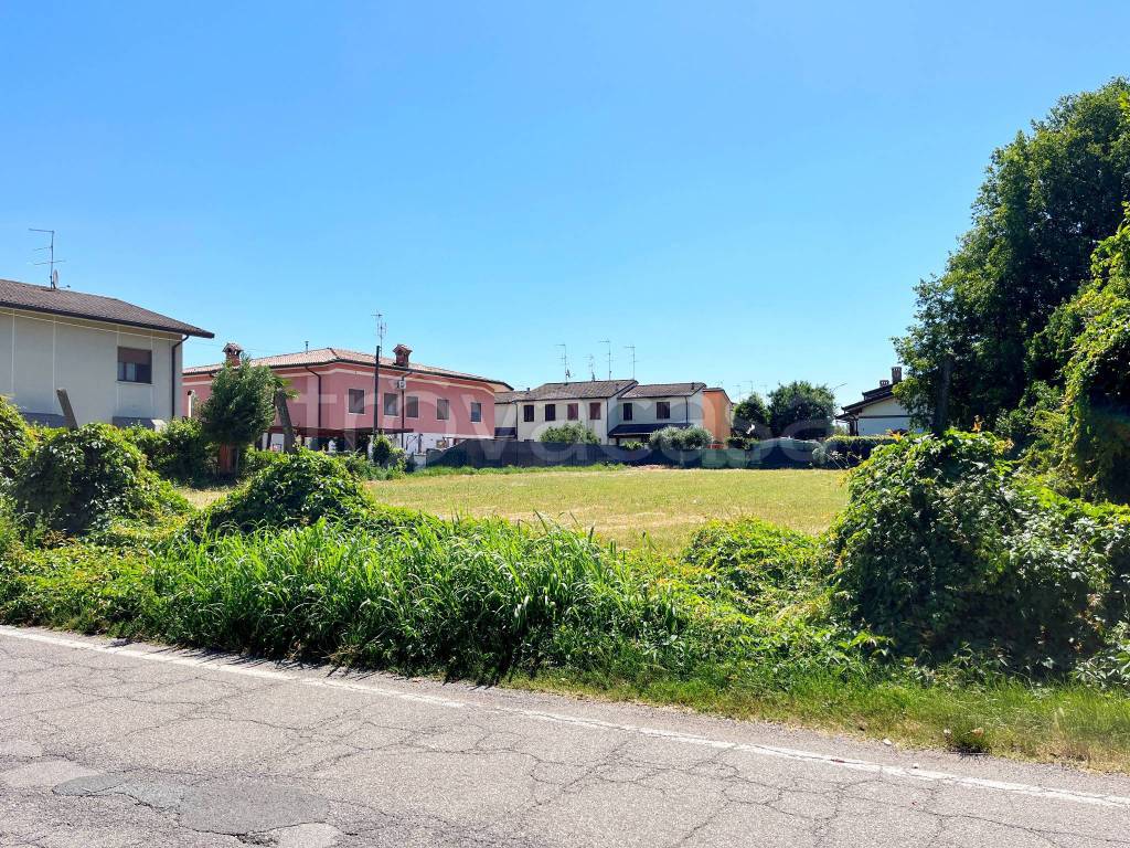 immagine annuncio 5 di 7