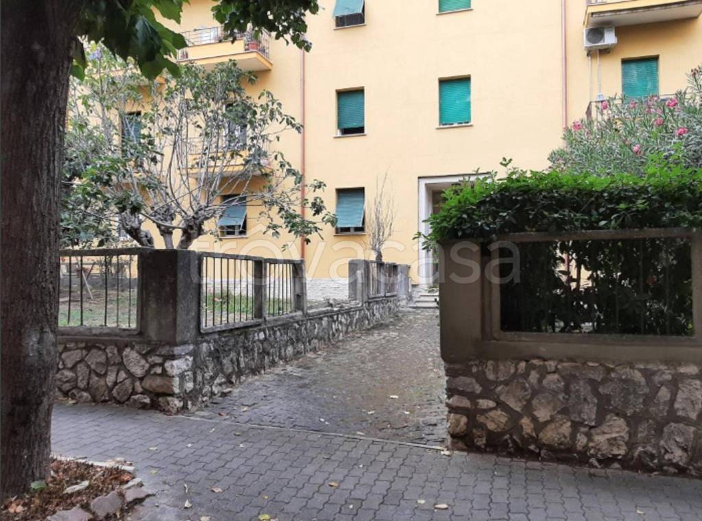 immagine annuncio 4 di 12