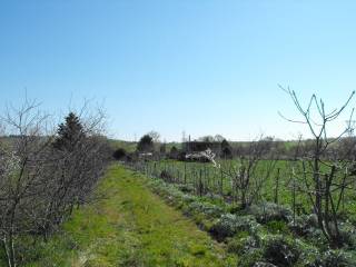 Terreno agricolo in vendita a matera contrada la vaglia