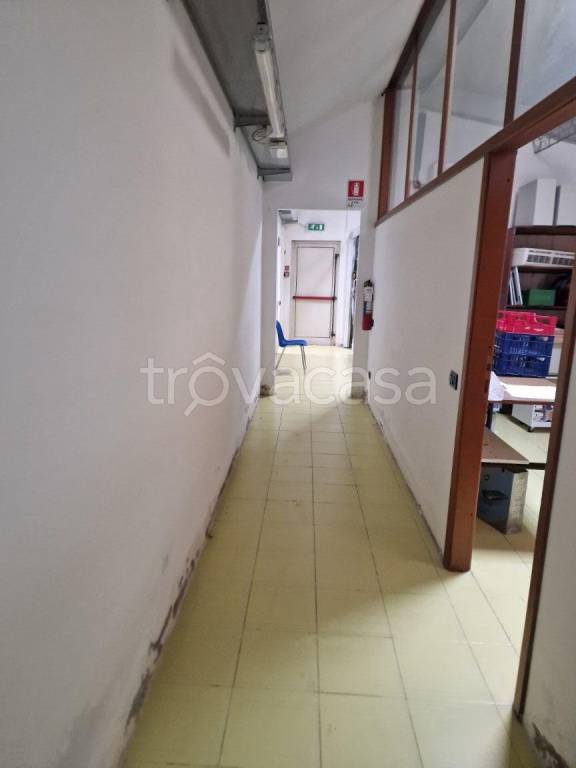 immagine annuncio 3 di 7