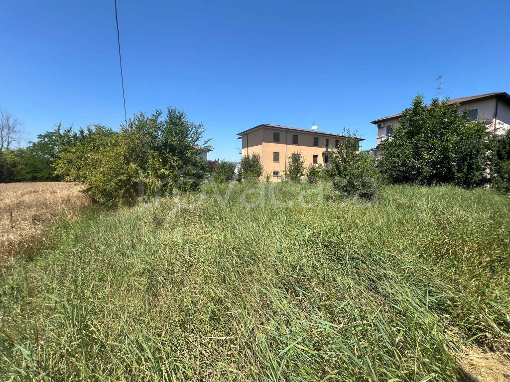 immagine annuncio 8 di 14
