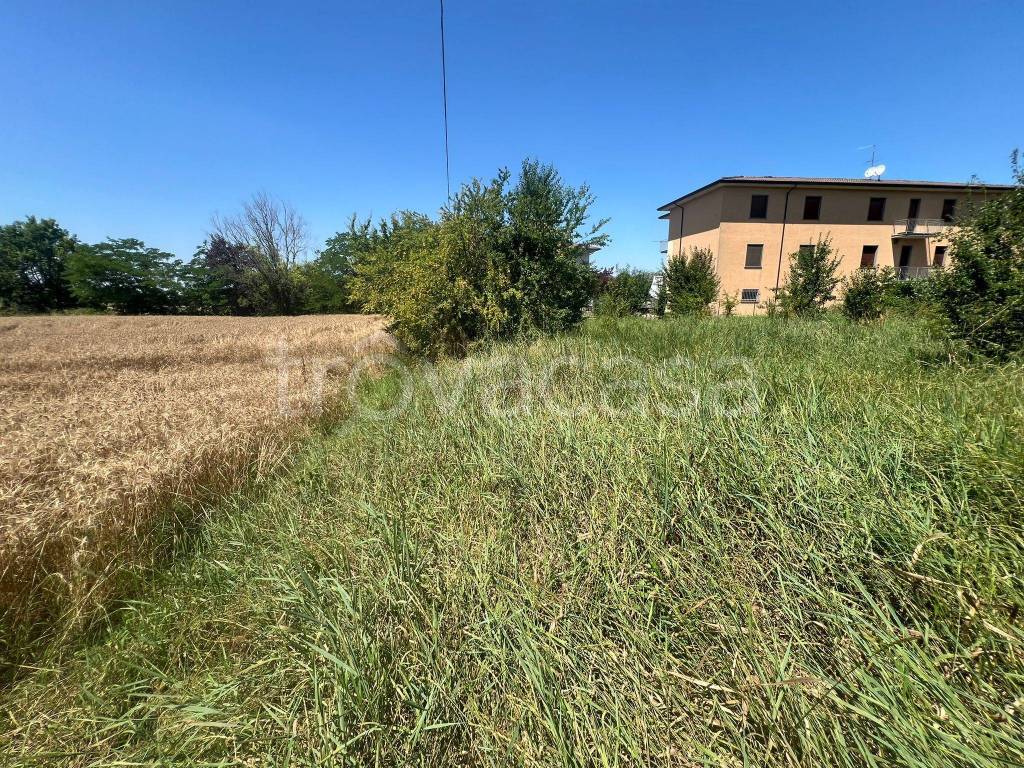 immagine annuncio 10 di 14