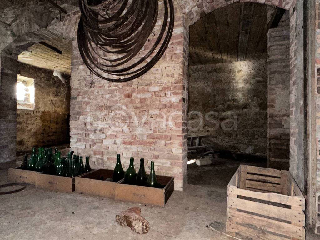 immagine annuncio 12 di 14