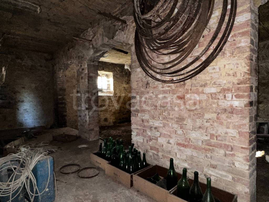 immagine annuncio 11 di 14
