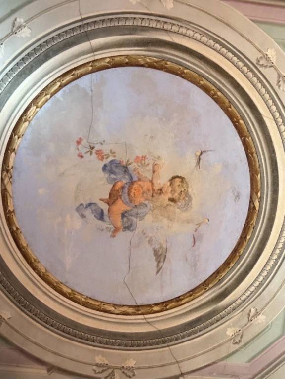 immagine annuncio 1 di 13