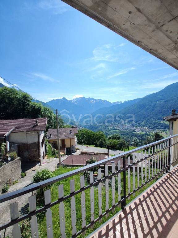 immagine annuncio 6 di 15