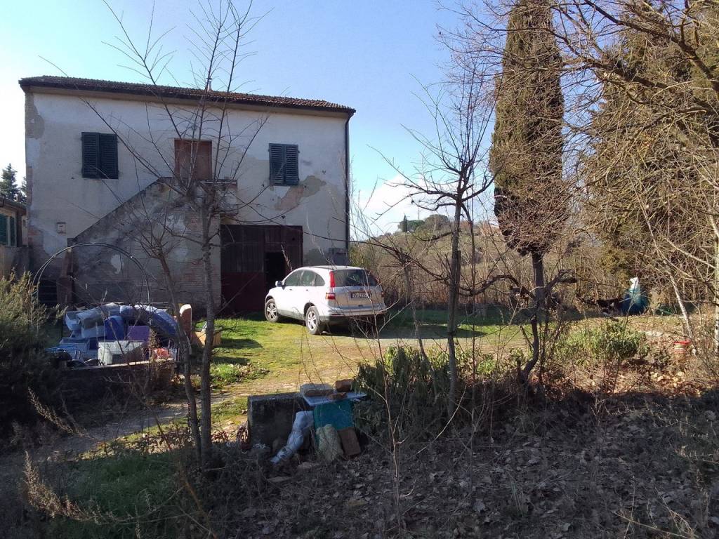 immagine annuncio 3 di 6