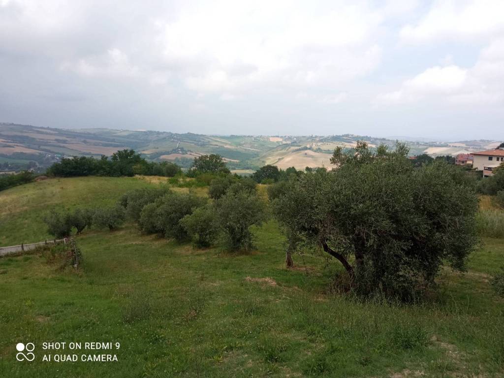 immagine annuncio 1 di 6