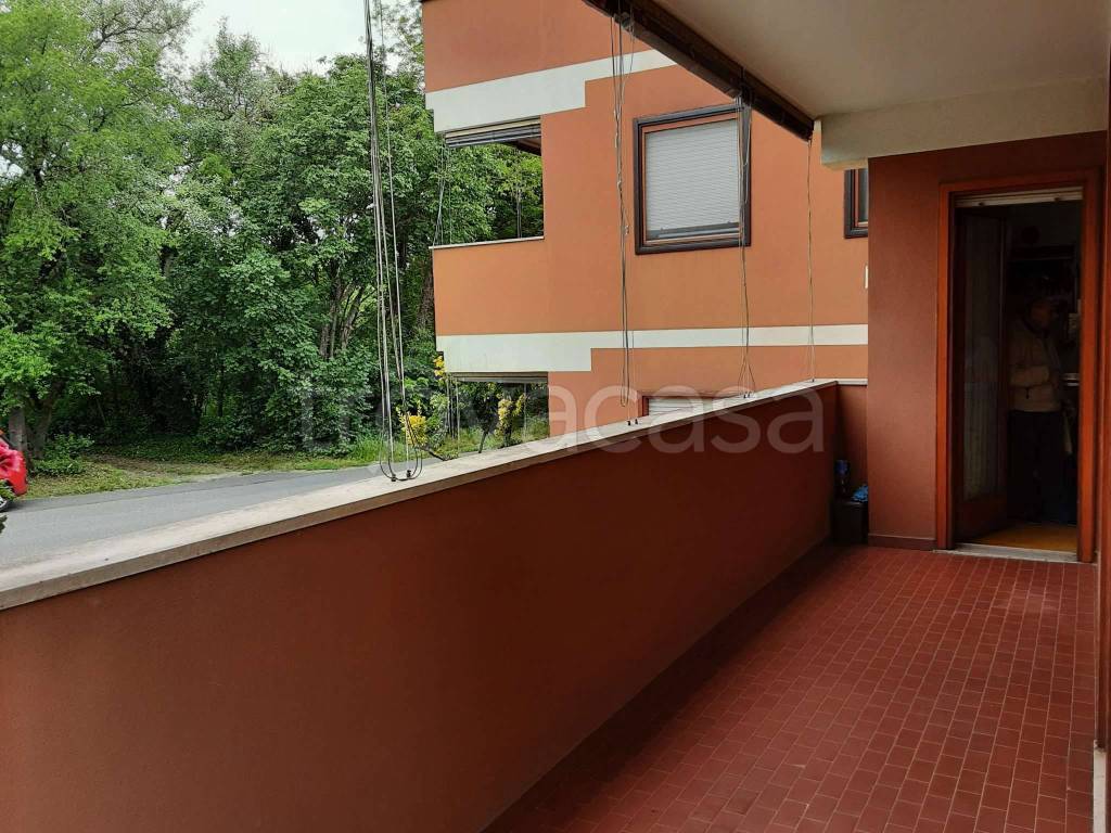 immagine annuncio 2 di 12
