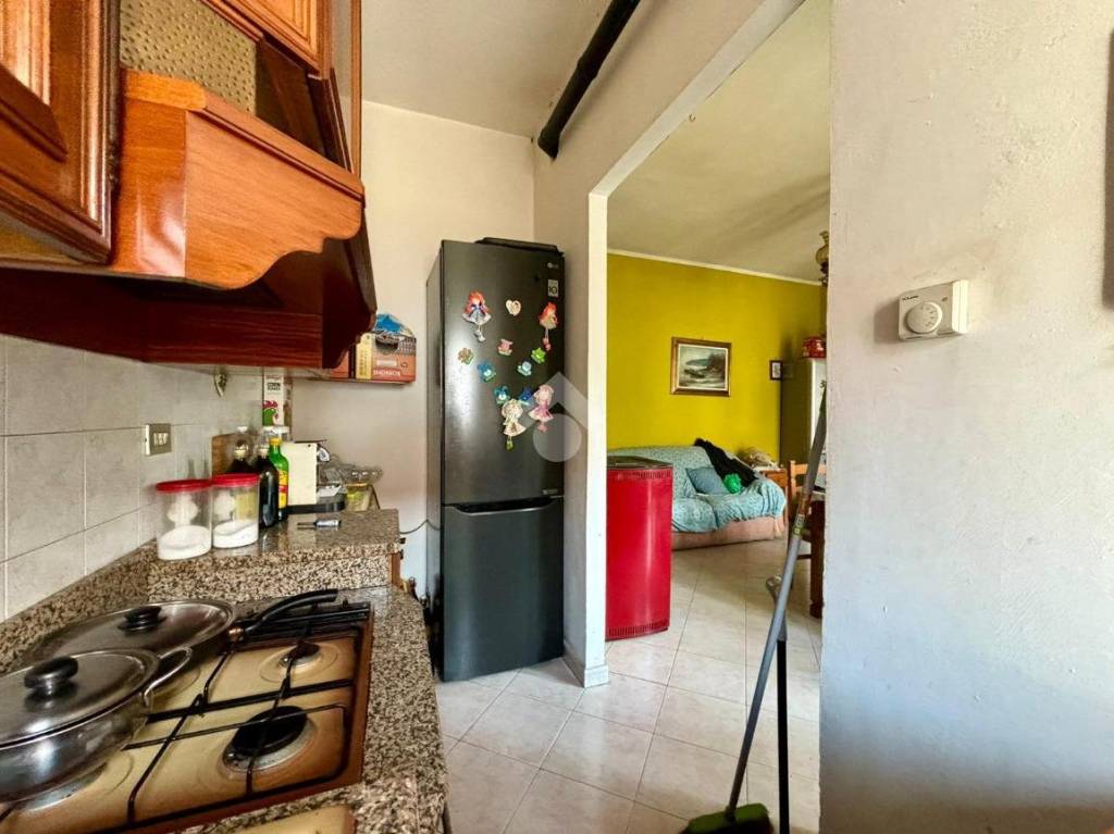 immagine annuncio 5 di 14