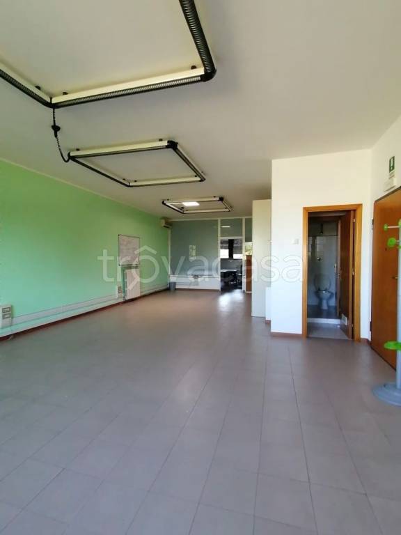 immagine annuncio 2 di 14
