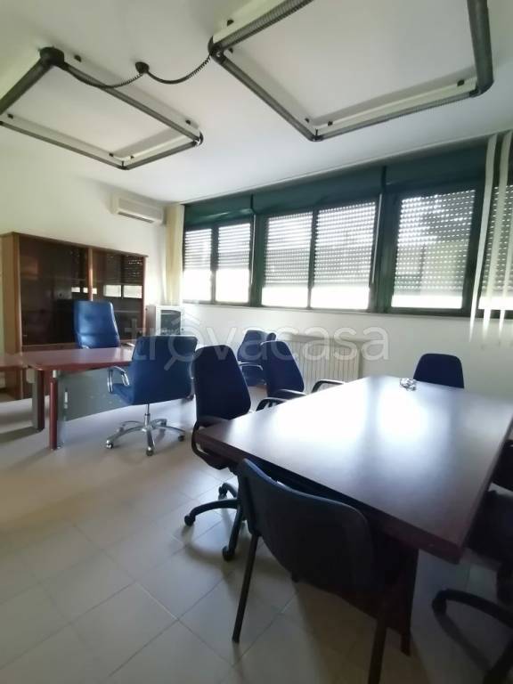 immagine annuncio 10 di 14