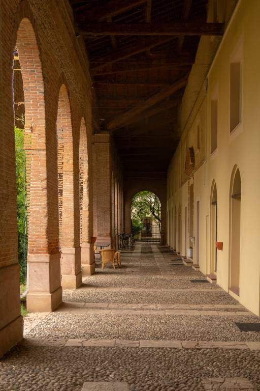 immagine annuncio 2 di 12