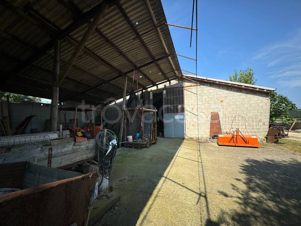immagine annuncio 8 di 15