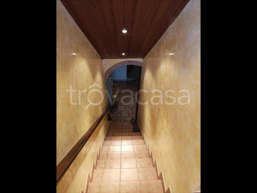immagine annuncio 10 di 14