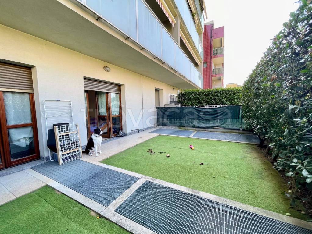 immagine annuncio 10 di 15