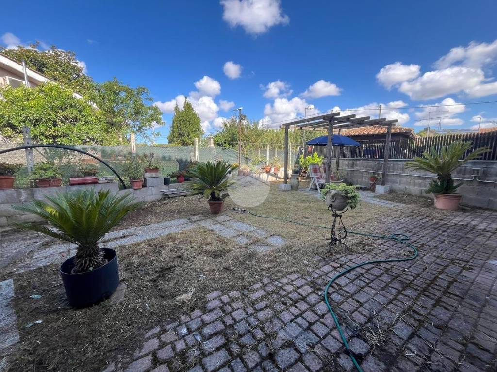 immagine annuncio 3 di 12