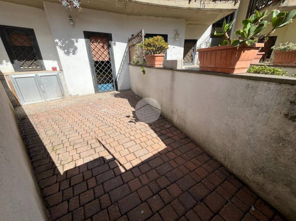 immagine annuncio 1 di 12