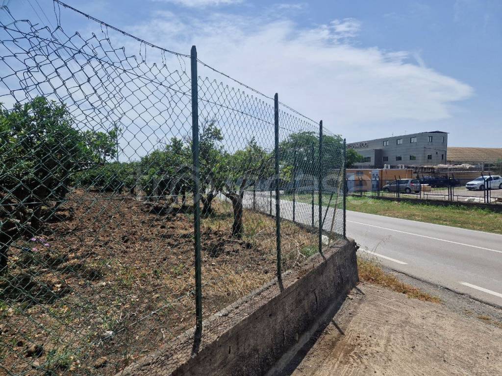 immagine annuncio 9 di 13