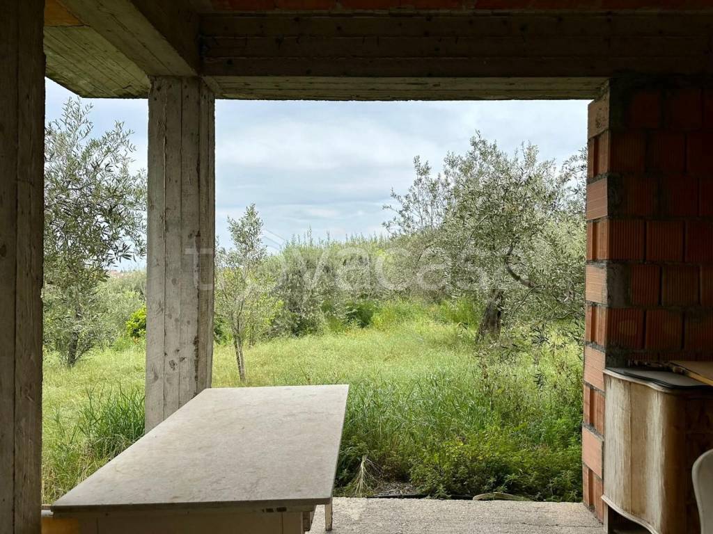 immagine annuncio 6 di 11