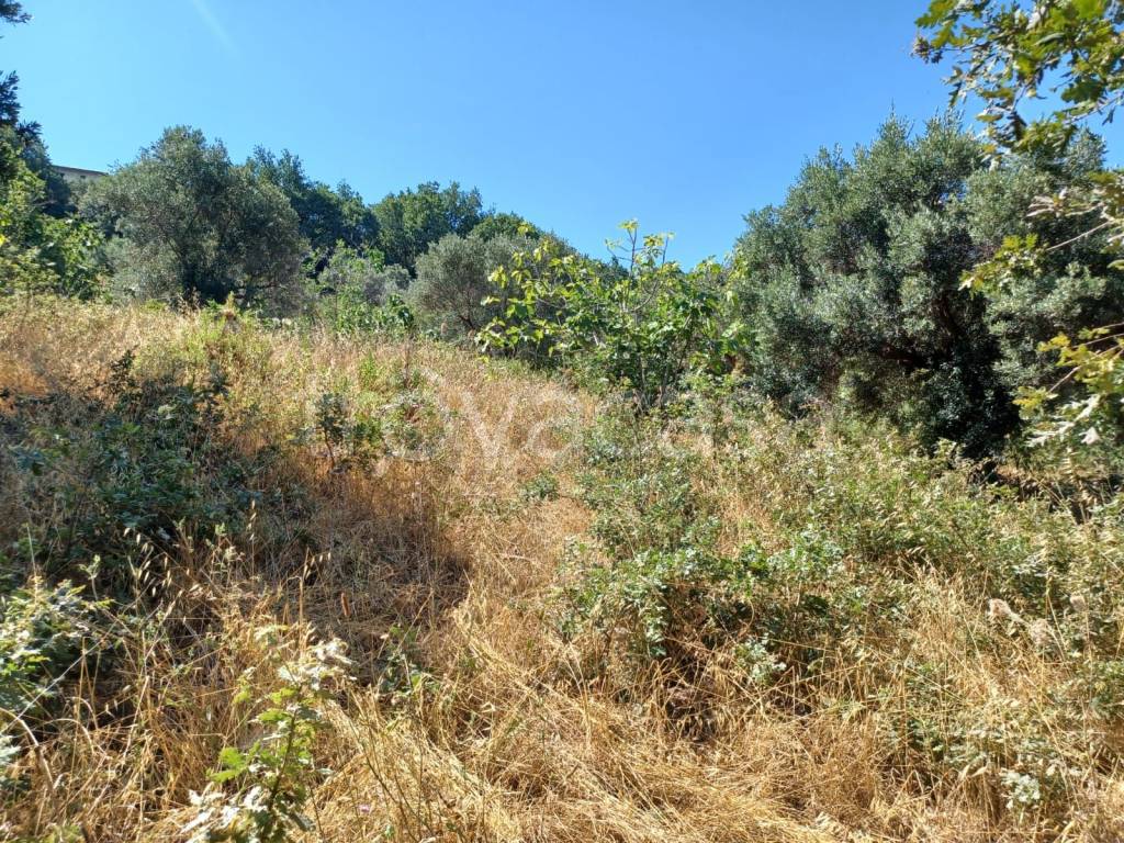 immagine annuncio 5 di 14
